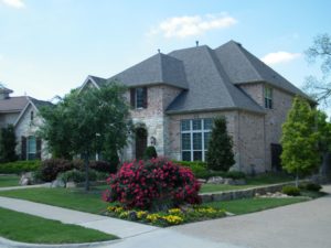 Neighborhood Guides Banner